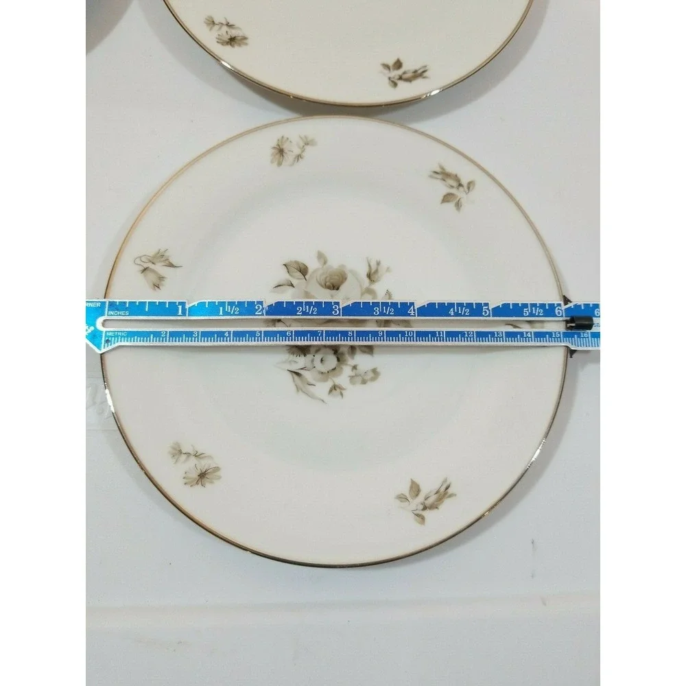 Bavaria Tirschenreuth Germany Pasco Newport 4011 Bread Dessert Plates Brown Rose